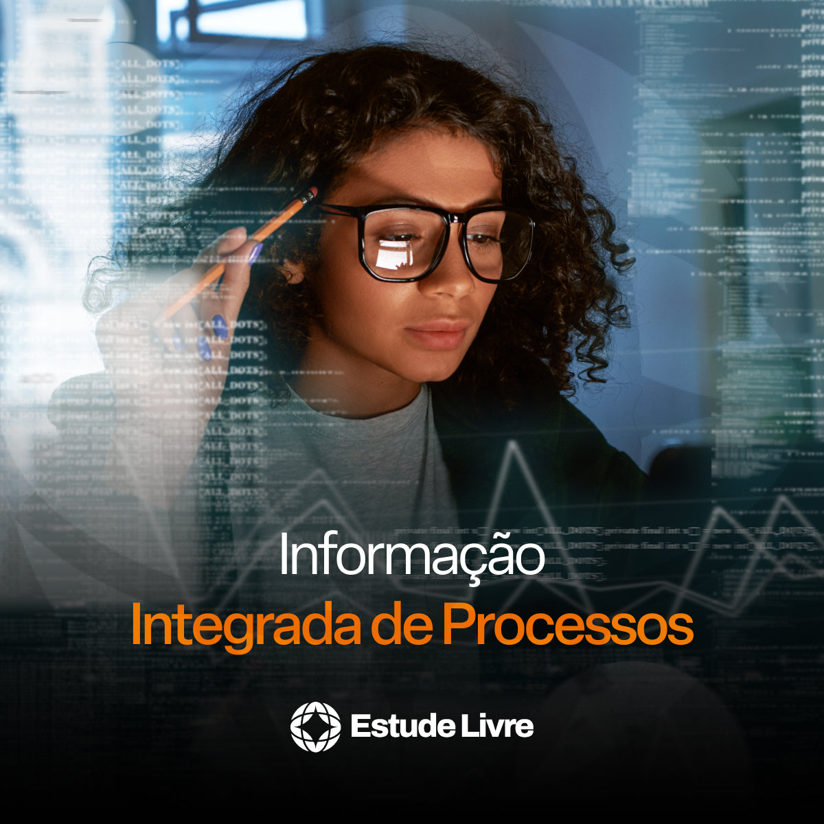 Aplicação dos Sistemas de Informação de forma integrada aos processos organizacionais