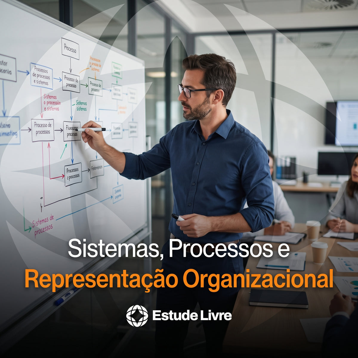 Sistemas, Processos e Representação Organizacional