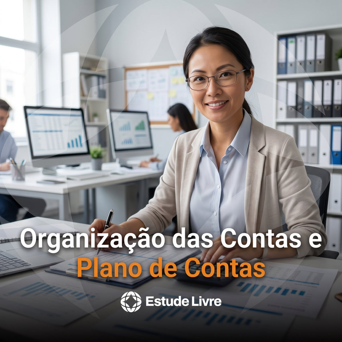 Organização das Contas e Plano de Contas