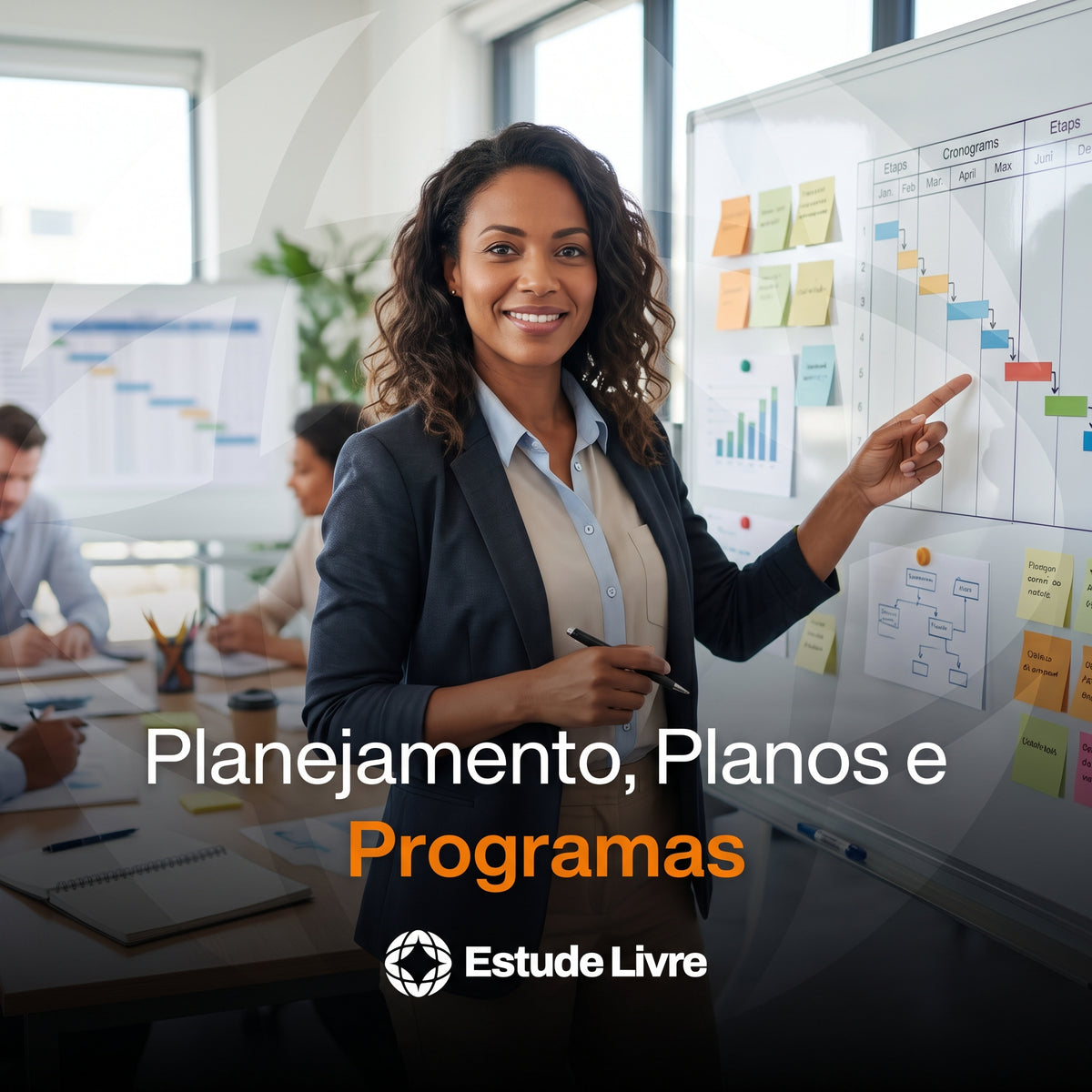 Planejamento, Planos e Programas